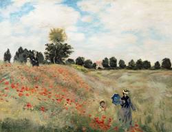 Picturi cu peisaje  maci