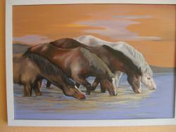 Picturi cu peisaje cai la adapat