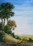 Picturi cu peisaje Iesirea din padure 2