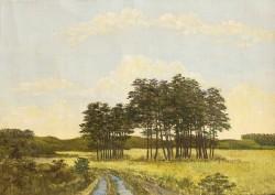 Picturi cu peisaje Copacii