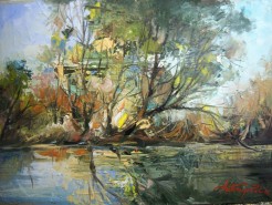 Picturi cu peisaje Delta 7