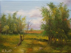 Picturi cu peisaje Luminis