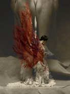 Picturi cu potrete/nuduri Flamenco flight