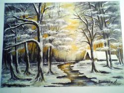 Picturi de iarna iarna la margine de sat 14