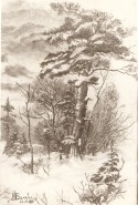 Picturi de iarna Iarna