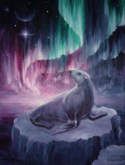 Picturi de iarna Peisaj polar cu foca si aurora boreala 