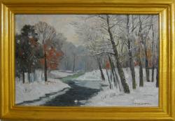 Picturi de iarna zapada in padure 4
