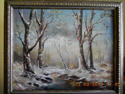 Picturi de iarna IARNA TARZIE