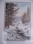 Picturi de iarna Iarna pe munte