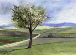 Picturi de primavara primavara pe ogoare 1