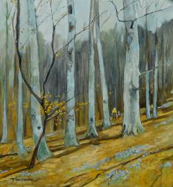 Picturi de primavara viorele in padure 2