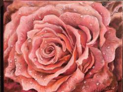 Picturi de primavara Trandafir roz