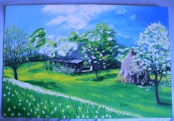 Picturi de primavara Primavara 2012