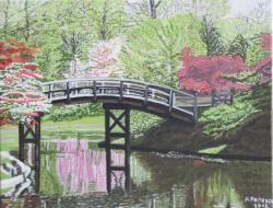 Picturi de primavara Gradina Japoneza