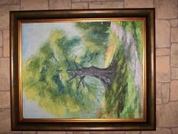 Picturi de toamna Copac secular