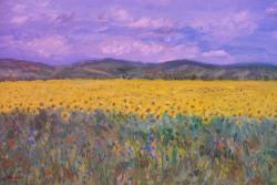 Picturi de vara Amiaza de vara