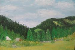 Picturi de vara Arieseni