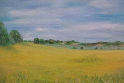 Picturi de vara Seceris