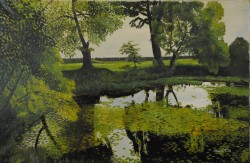 Picturi de vara Lac si nuferi