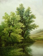 Picturi de vara Malul lacului - vara