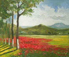 Picturi de vara Maci pe marginea drumului