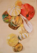 Picturi decor Dovlecei 1