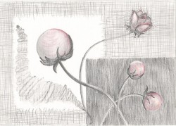 Picturi decor Muguri