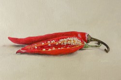 Picturi decor Pictura in ulei originala - ardei