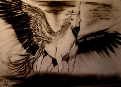 Picturi in creion / carbune Untamed perfection