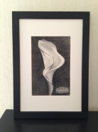 Picturi in creion / carbune Cala