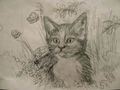 Picturi in creion / carbune Prin iarba