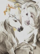 Picturi in creion / carbune Cai