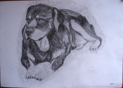 Picturi in creion / carbune B.