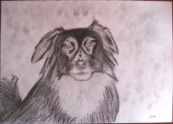 Picturi in creion / carbune M.