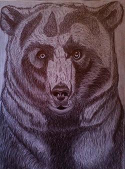 Picturi in creion / carbune Ursul
