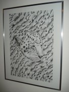 Picturi in creion / carbune Africa leopard
