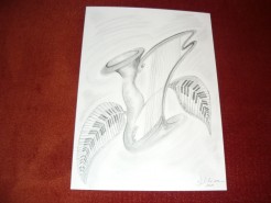 Picturi in creion / carbune Simfonia florilor 2