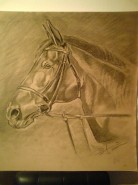 Picturi in creion / carbune Cap de cal
