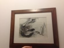 Picturi in creion / carbune Desen cap de leu
