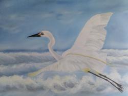 Picturi maritime navale Libertate