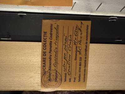 Pictură de colecție 